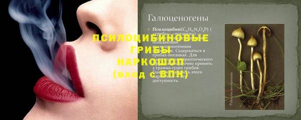 ПСИЛОЦИБИНОВЫЕ ГРИБЫ Алексин