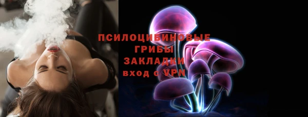 сатива Алексеевка