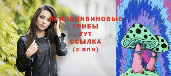 сатива Алексеевка